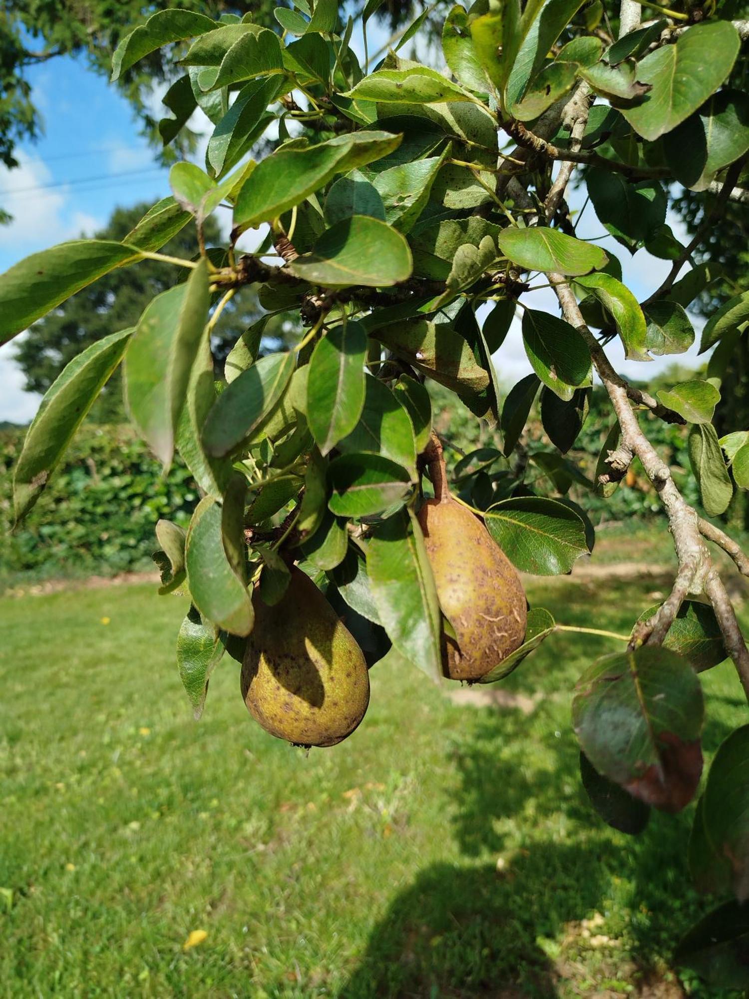 Le Gite De La Haie Portee Lignieres-Orgeres Extérieur photo